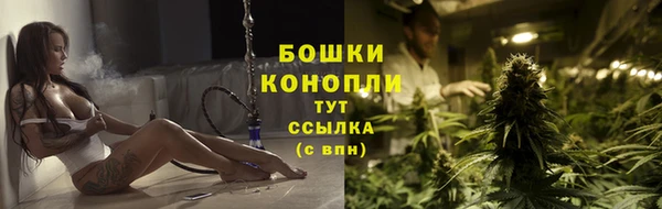 молекула духа Белоозёрский