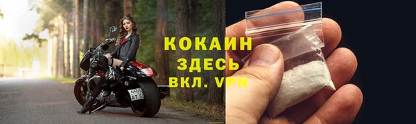 молекула духа Белоозёрский