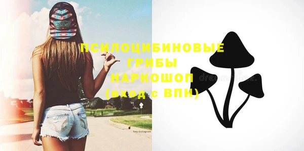 молекула духа Белоозёрский
