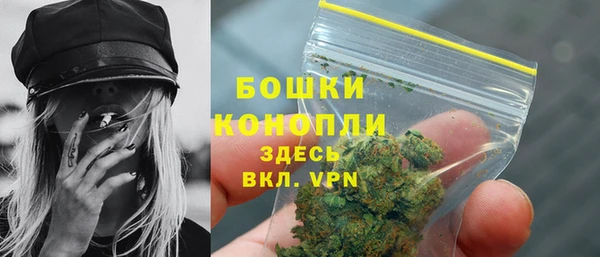 ALPHA PVP Белокуриха