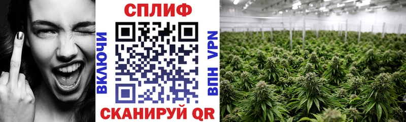 Бошки марихуана THC 21% Рудня